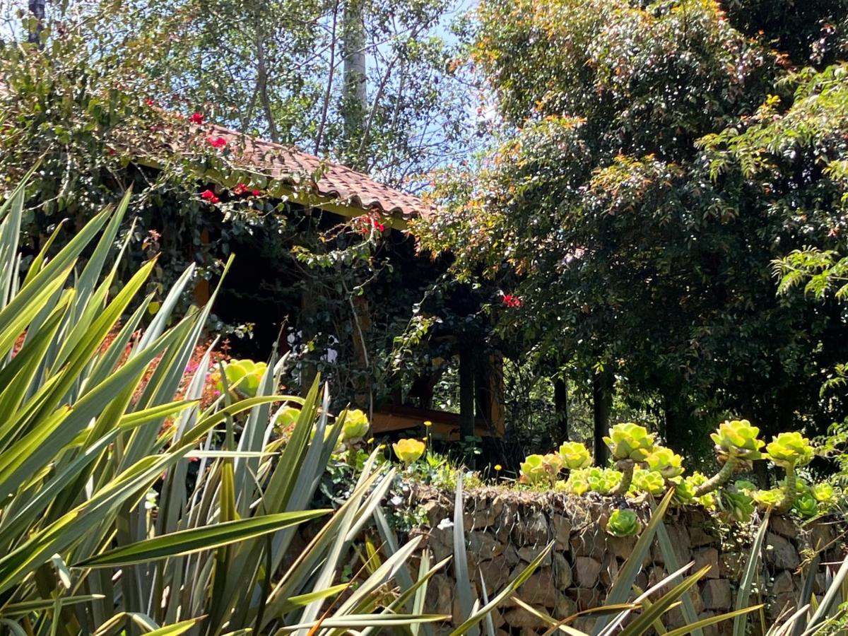 Passadhi Ayurveda & Yoga Retreat Hotel Villa de Leyva Eksteriør billede